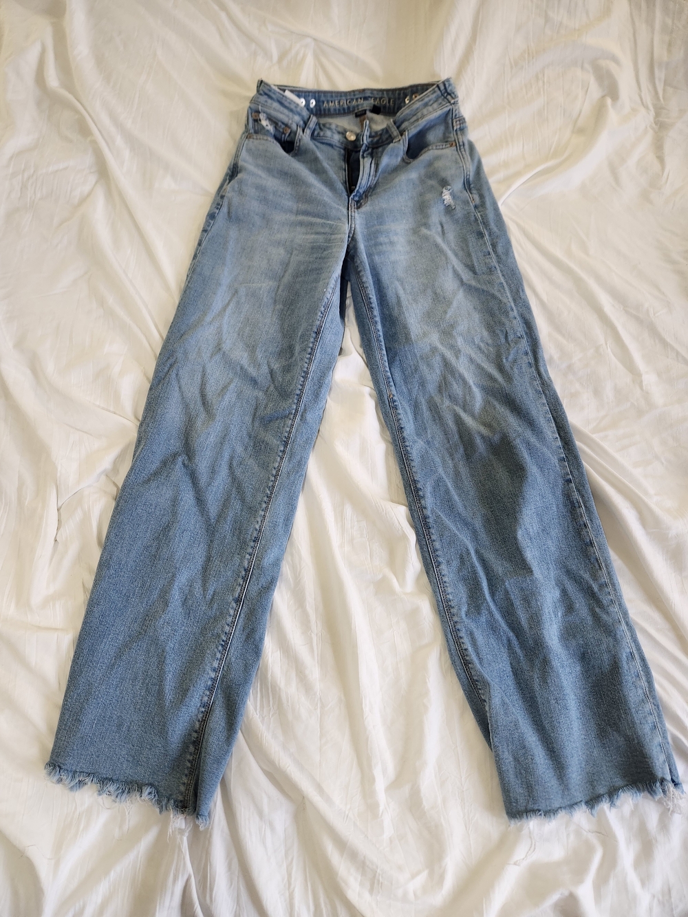 American Eagle Outfitters Light Blue Wide-Leg Jeans